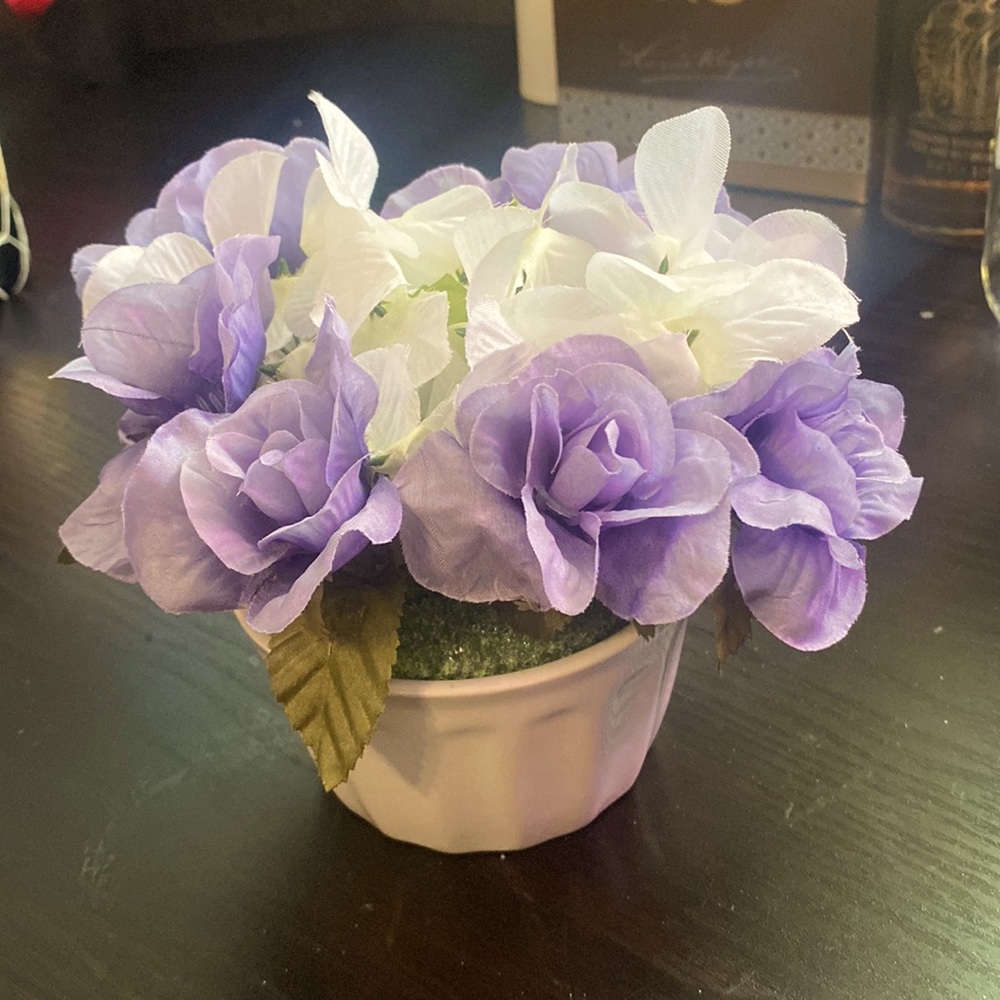 selling these flower there rlly pretty in person it’s amazing pls buy them